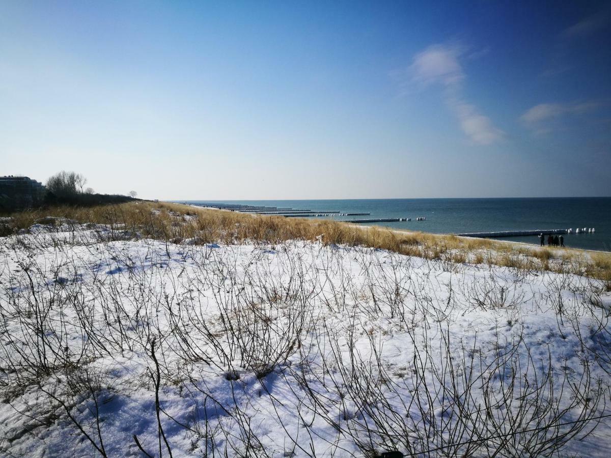 Darsser Strandgut - Haus Ahrenshooper Holz Exterior foto